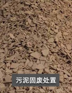 污泥固废处置