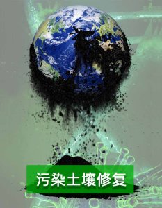 污染土壤修复